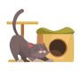 The Scratching Post Cattery